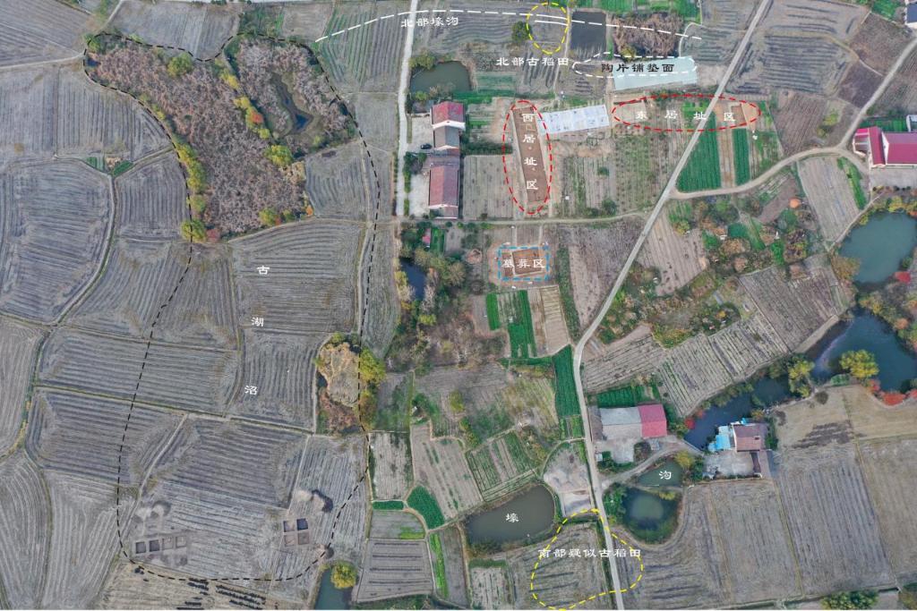 先民8000多年前就在种水稻冰球突破豪华版实锤！这里的(图2)